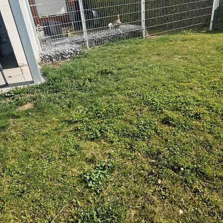 Apartman Marienstrasse Neukirchen vorm Wald